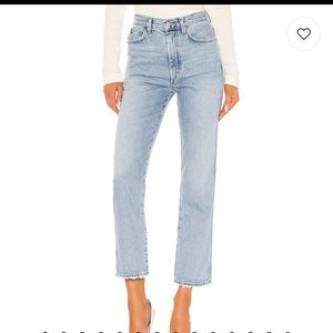 Agolde Pinch Waist Jeans in Riptide